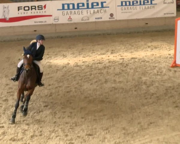 Reitturnier Schaffhausen 2022