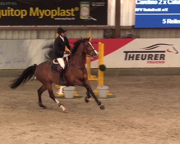 11. Nordic Jumping Event in Negernbötel 2022 – Abschlussturnier mit LVM Finale Dressur/Springen