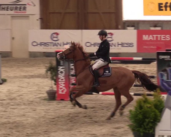 11. Nordic Jumping Event in Negernbötel 2022 – Abschlussturnier mit LVM Finale Dressur/Springen