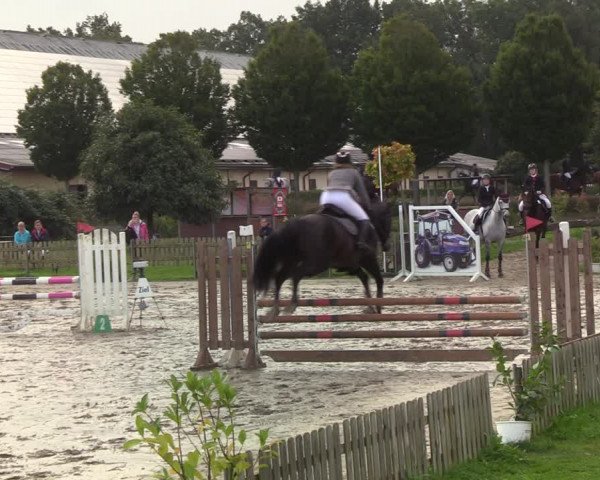 Reitturnier Schülp / Rendsburg 2021