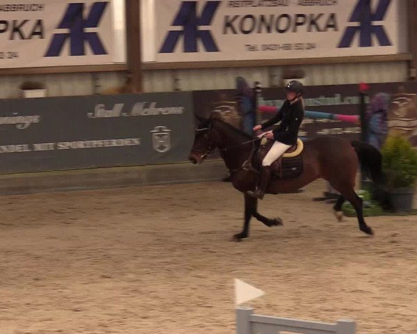 11. Nordic Jumping Event in Negernbötel 2022 – Abschlussturnier mit LVM Finale Dressur/Springen