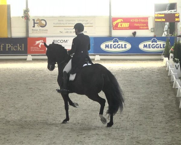 Reitturnier Karlsfeld 2022