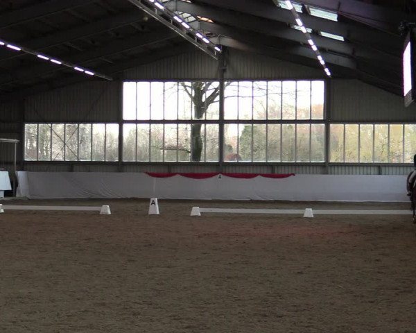 Reitturnier Greven 2022