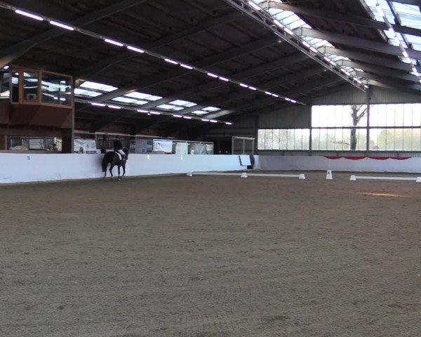 Reitturnier Greven 2022
