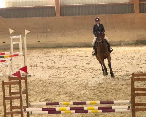 Reitturnier Schaffhausen 2022