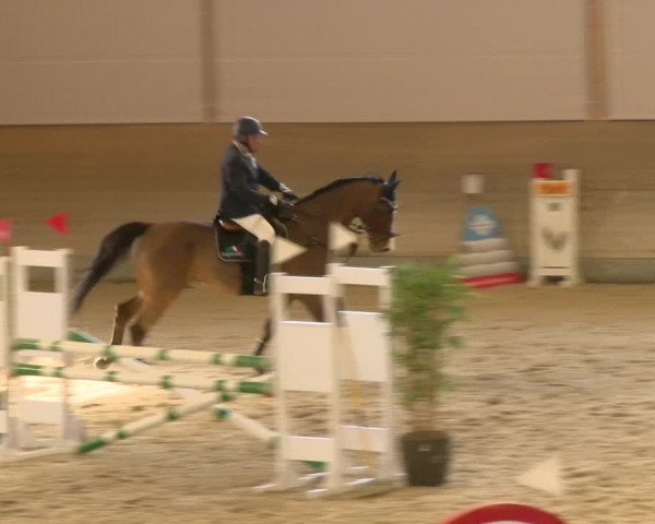 Reitturnier Schaffhausen 2022