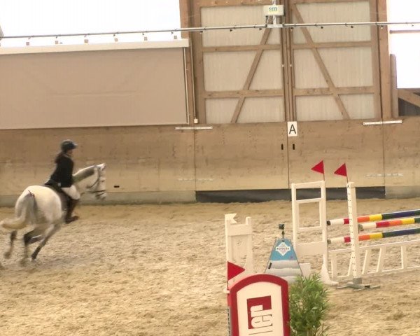 Reitturnier Schaffhausen 2022