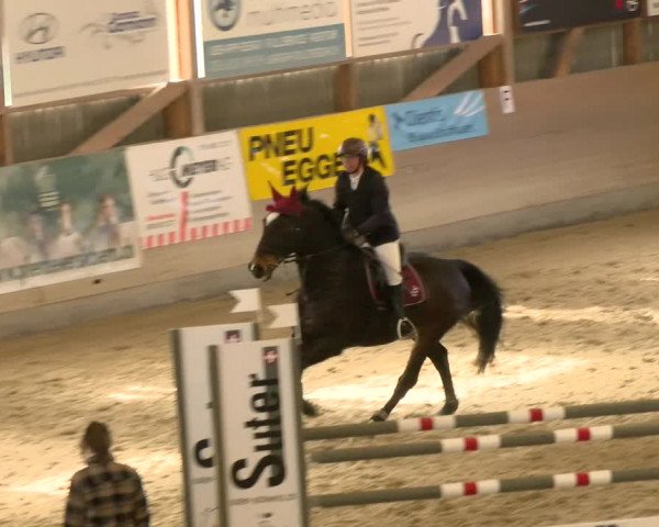 Reitturnier Schaffhausen 2022