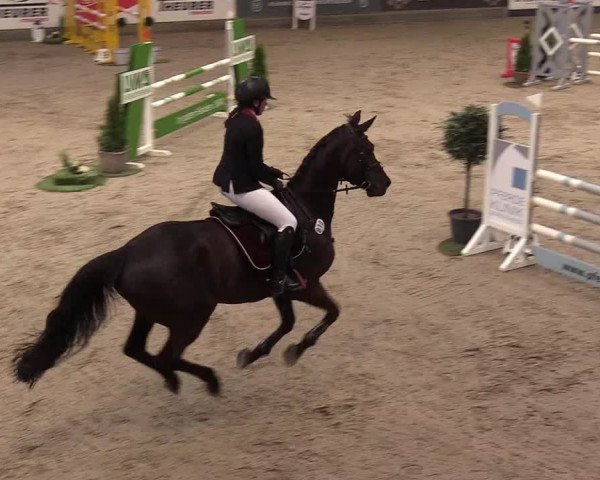 11. Nordic Jumping Event in Negernbötel 2022 – Abschlussturnier mit LVM Finale Dressur/Springen