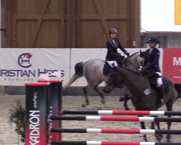 11. Nordic Jumping Event in Negernbötel 2022 – Abschlussturnier mit LVM Finale Dressur/Springen
