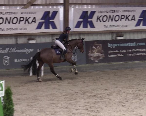 11. Nordic Jumping Event in Negernbötel 2022 – Abschlussturnier mit LVM Finale Dressur/Springen