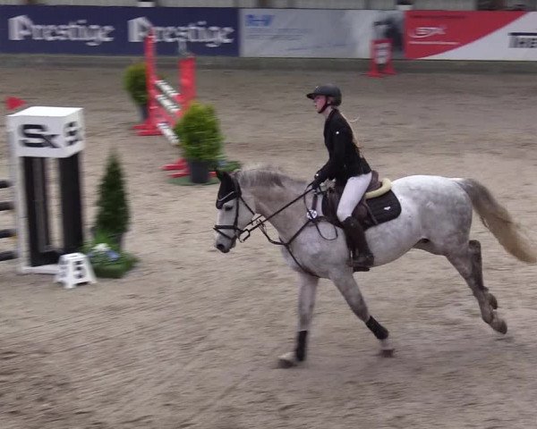 11. Nordic Jumping Event in Negernbötel 2022 – Abschlussturnier mit LVM Finale Dressur/Springen