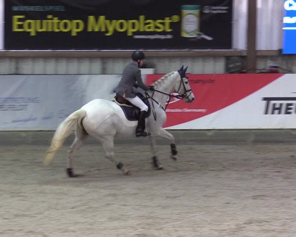 11. Nordic Jumping Event in Negernbötel 2022 – Abschlussturnier mit LVM Finale Dressur/Springen