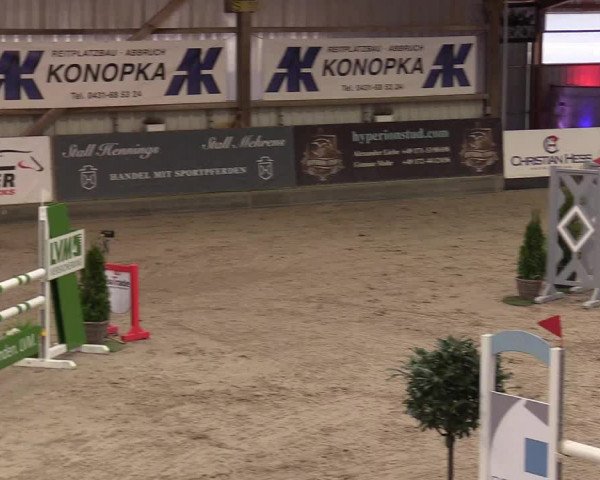 11. Nordic Jumping Event in Negernbötel 2022 – Abschlussturnier mit LVM Finale Dressur/Springen