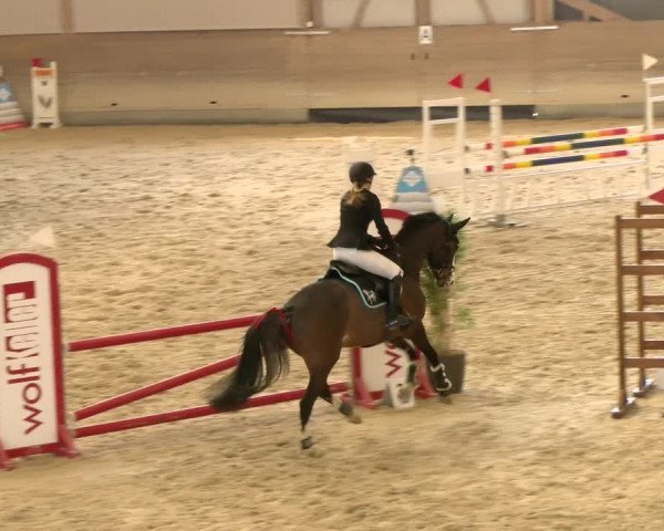Reitturnier Schaffhausen 2022
