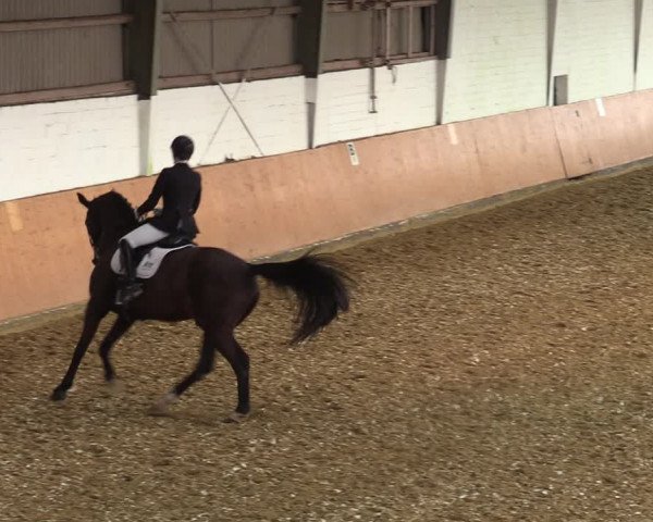 Reitturnier Datteln 2022