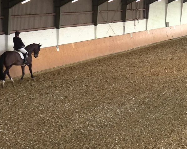 Reitturnier Datteln 2022