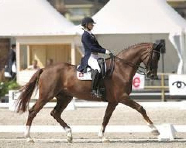 dressage horse Le Primeur 2 (Hanoverian, 1993, from Lauries Crusador xx)