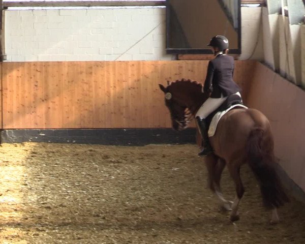 Reitturnier Datteln 2022