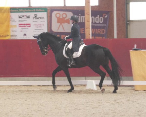 Reitturnier Balingen 2022