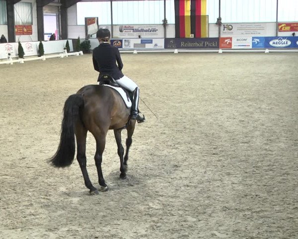 Reitturnier Karlsfeld 2022