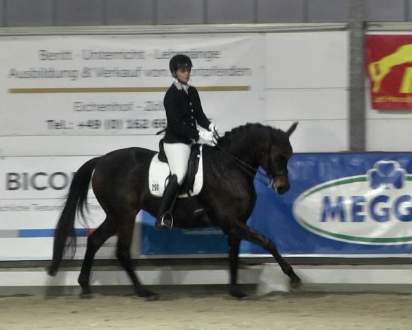Reitturnier Karlsfeld 2022