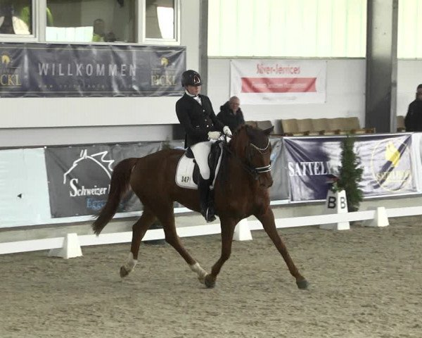 Reitturnier Karlsfeld 2022