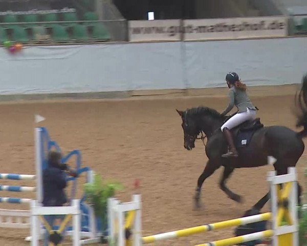 Reitturnier Kreuth 2022
