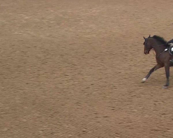 Reitturnier Kreuth 2022