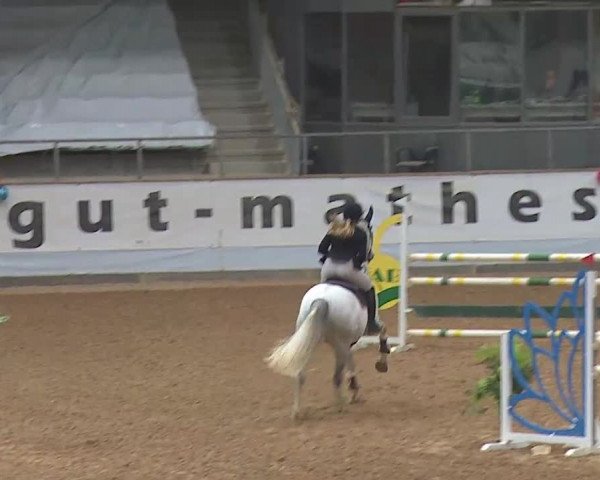 Reitturnier Kreuth 2022