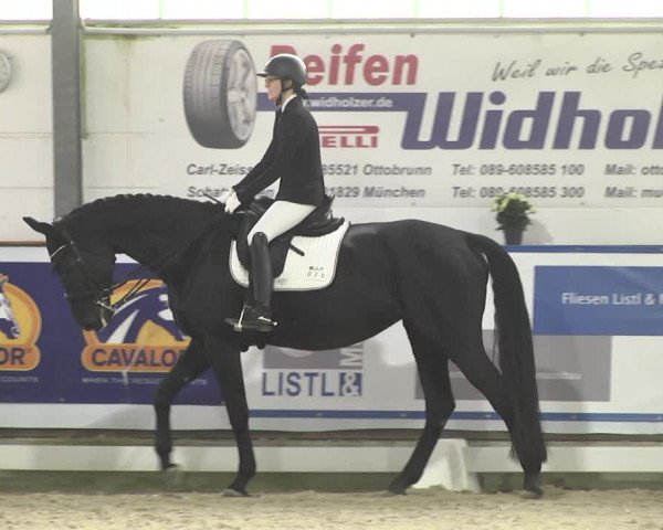 Reitturnier Karlsfeld 2022
