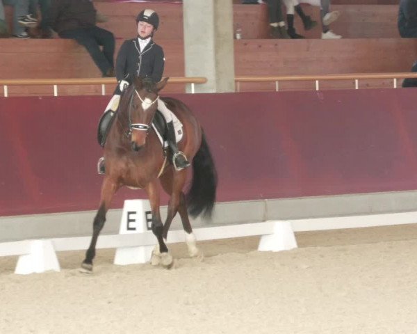 Reitturnier Balingen 2022