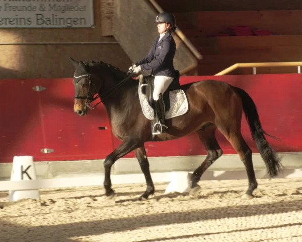 Reitturnier Balingen 2022