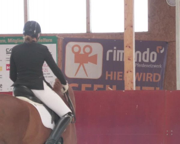 Reitturnier Balingen 2022