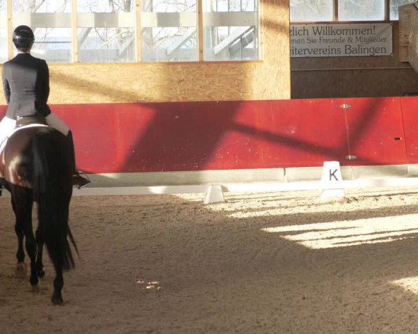 Reitturnier Balingen 2022