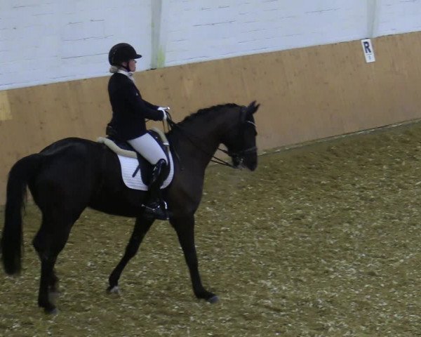 Reitturnier Datteln 2022