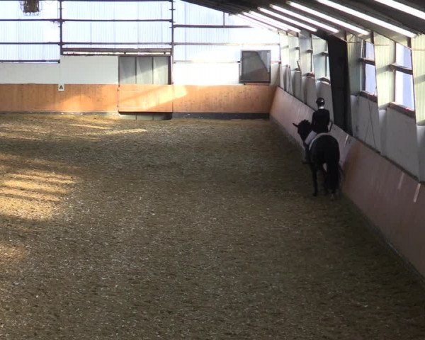 Reitturnier Datteln 2022