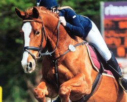 broodmare Oh So Lucky (KWPN (Royal Dutch Sporthorse), 2008, from Ontario)