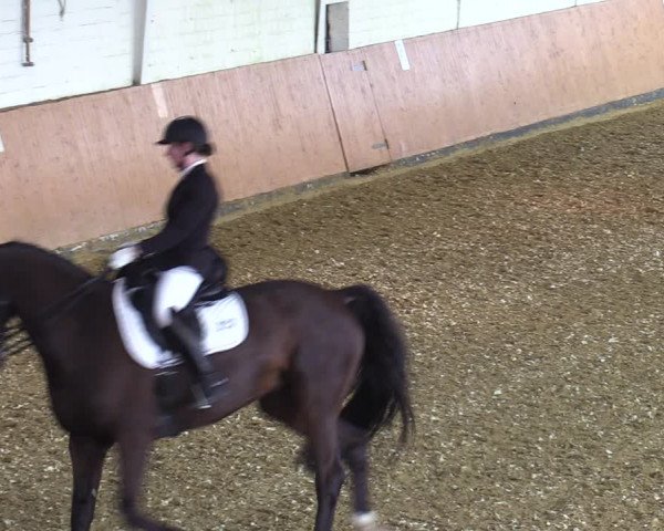 Reitturnier Datteln 2022