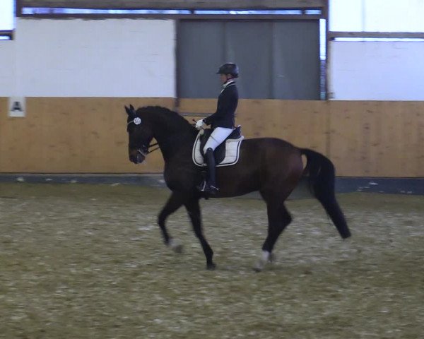 Reitturnier Datteln 2022