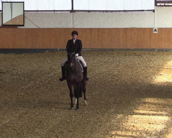 Reitturnier Datteln 2022