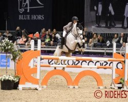 jumper Springhill Boomerang (Irish Sport Horse, 2007)