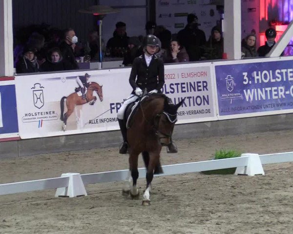 11. Nordic Jumping Event in Negernbötel 2022 – Abschlussturnier mit LVM Finale Dressur/Springen