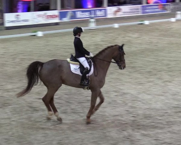 11. Nordic Jumping Event in Negernbötel 2022 – Abschlussturnier mit LVM Finale Dressur/Springen