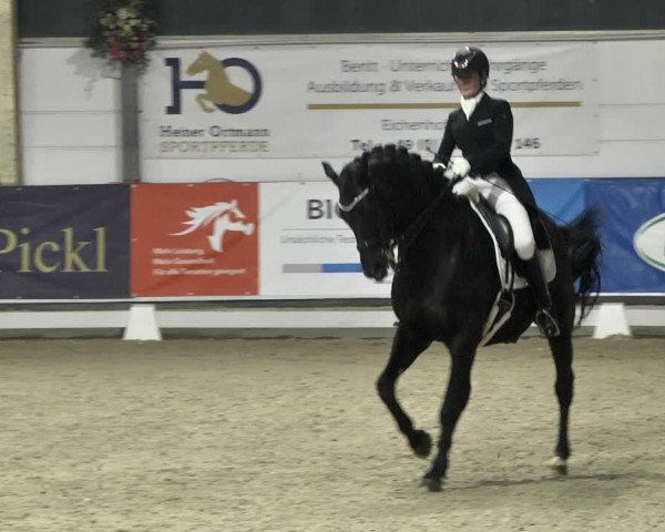 Reitturnier Karlsfeld 2022