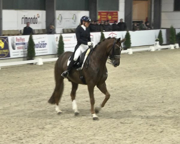 Reitturnier Karlsfeld 2022
