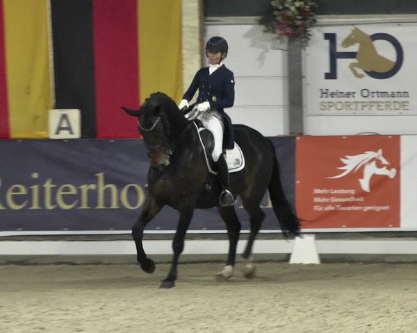 Reitturnier Karlsfeld 2022