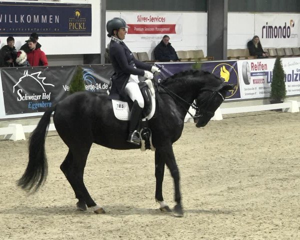 Reitturnier Karlsfeld 2022