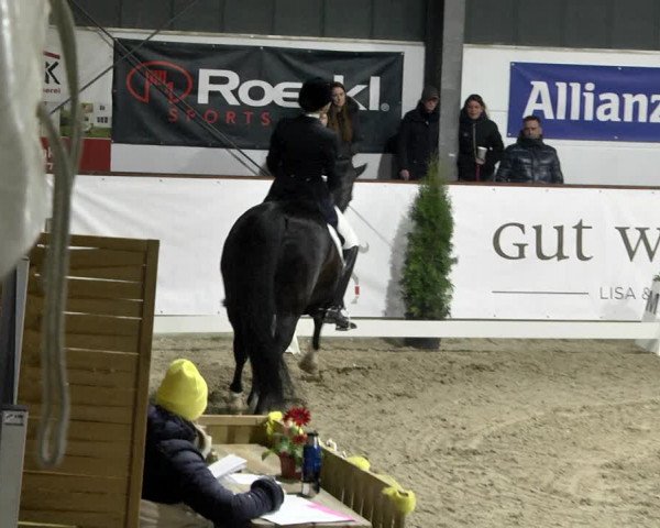 Reitturnier Karlsfeld 2022