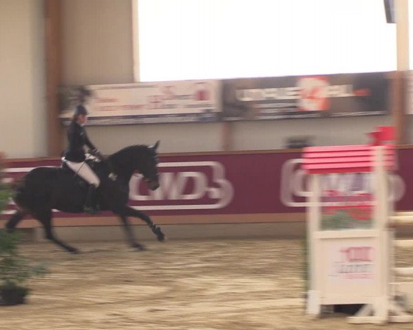 Reitturnier Goch-Asperden 2022